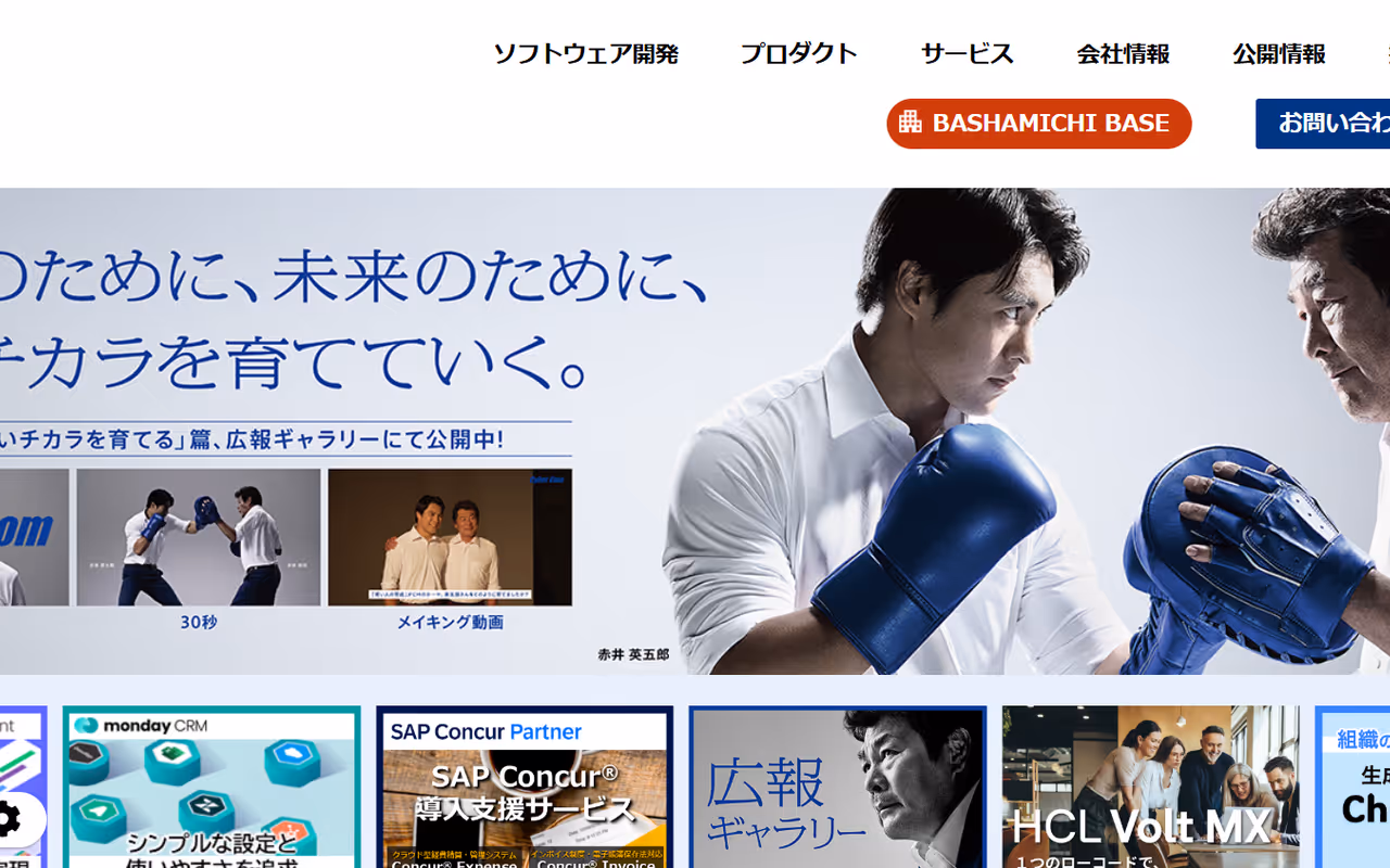 ナパソリューションズ株式会社